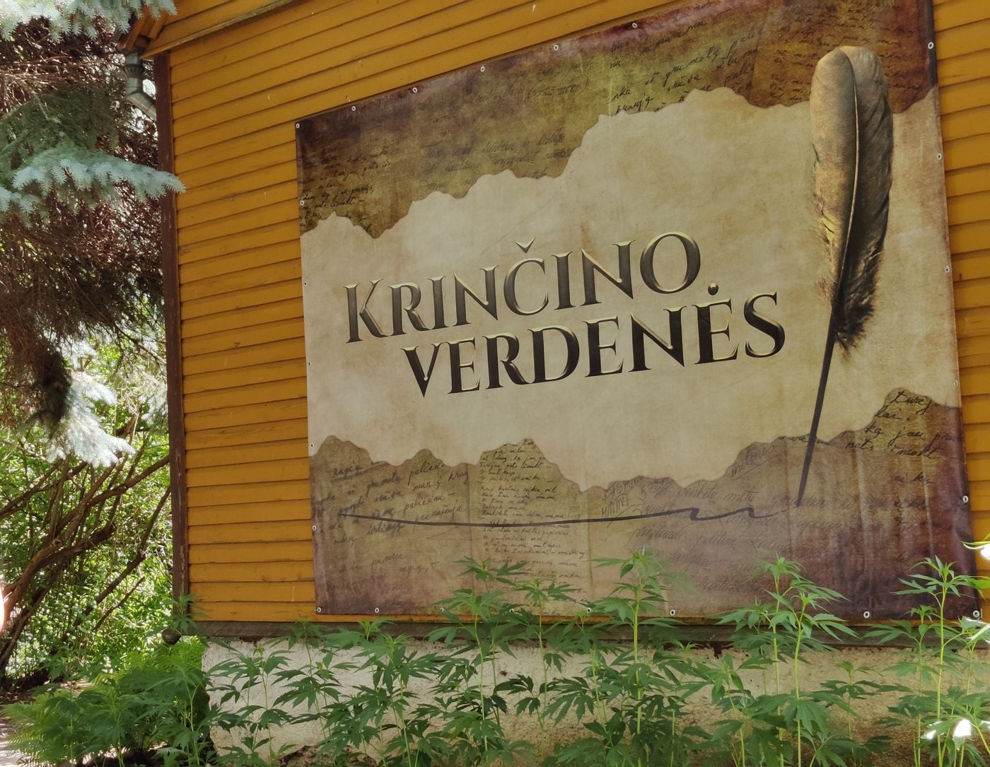 Šventė Krinčine