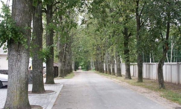 Škilinpamūšis