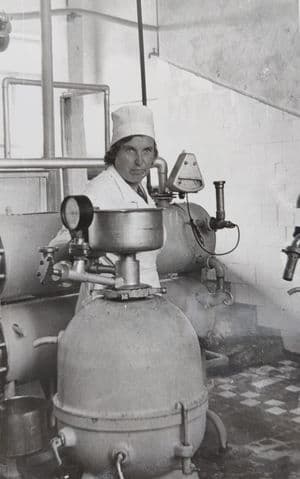 Darbas pieninėje