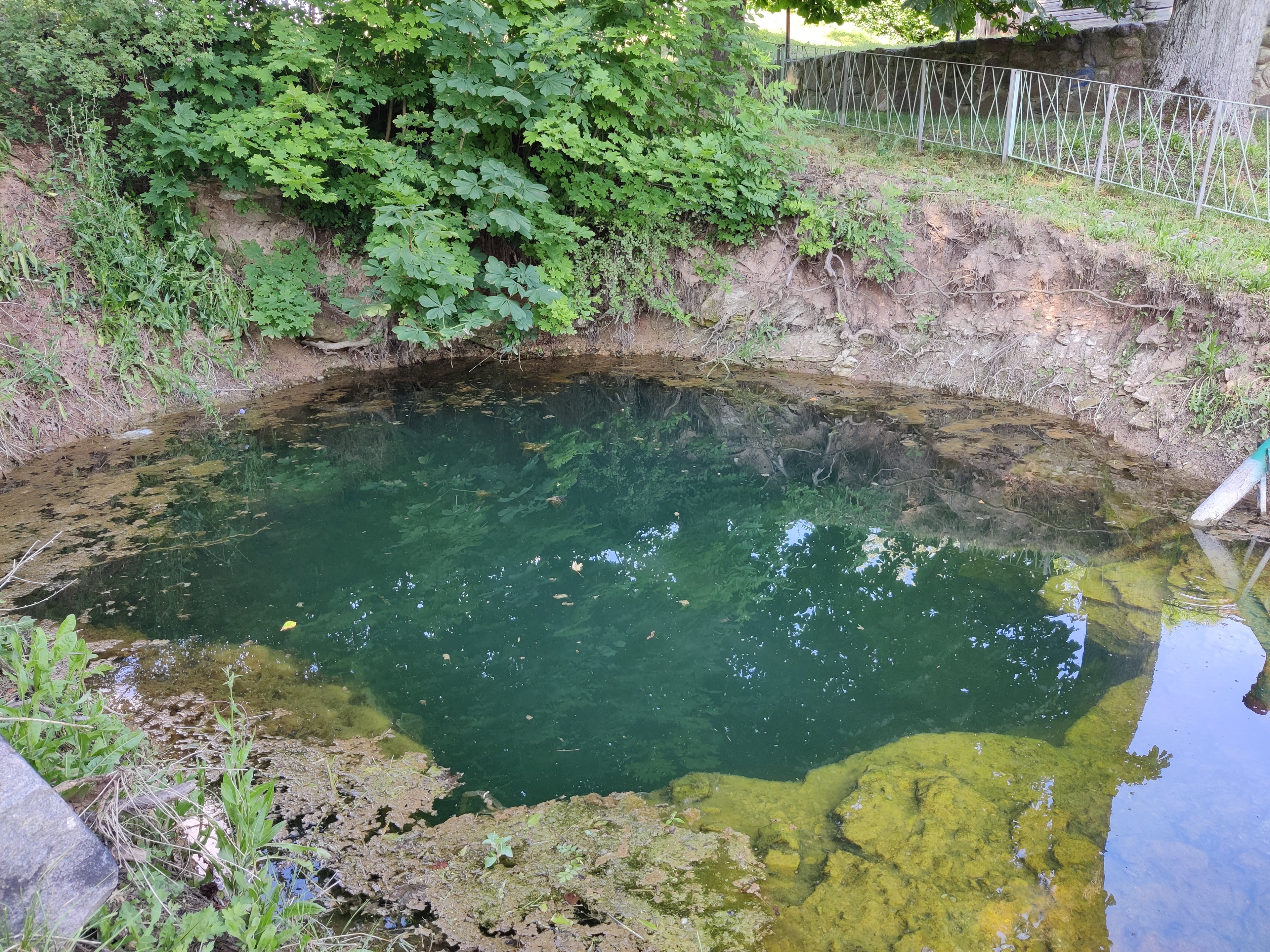 Žalsvasis